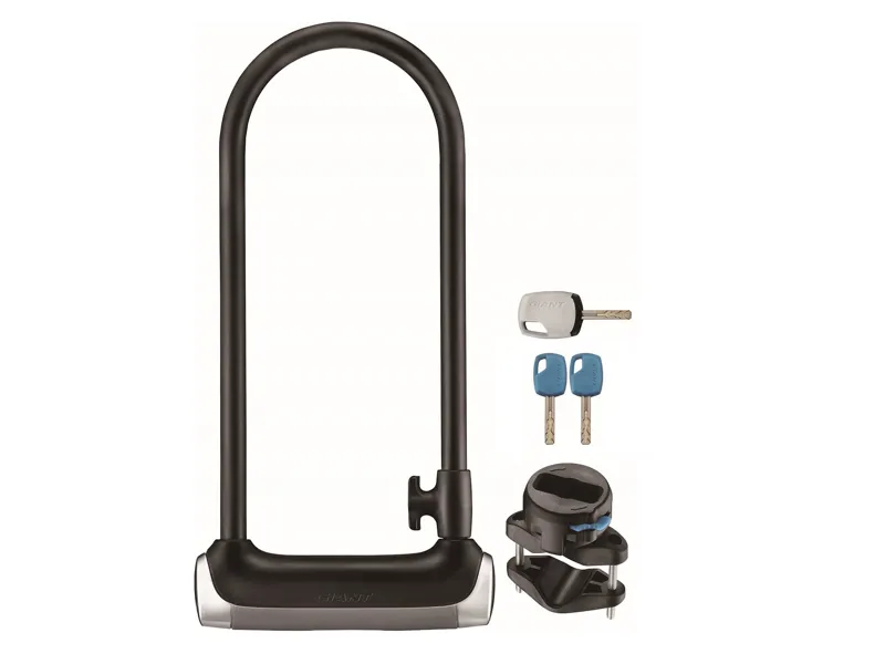 2020 Giant Surelock Protector 1 LS Black