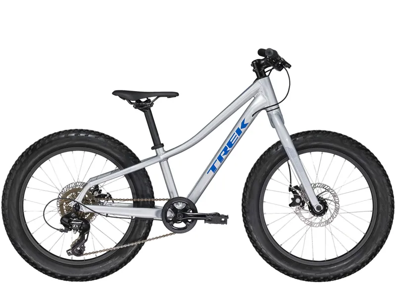 Trek Roscoe 20 Kids Mountain Bike Quicksilver