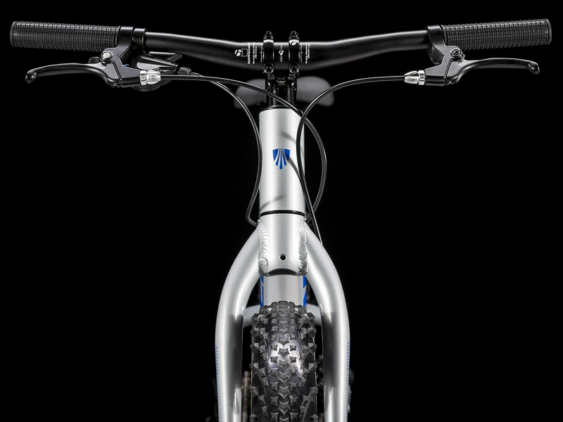 Trek Roscoe 20 Kids Mountain Bike Quicksilver-7