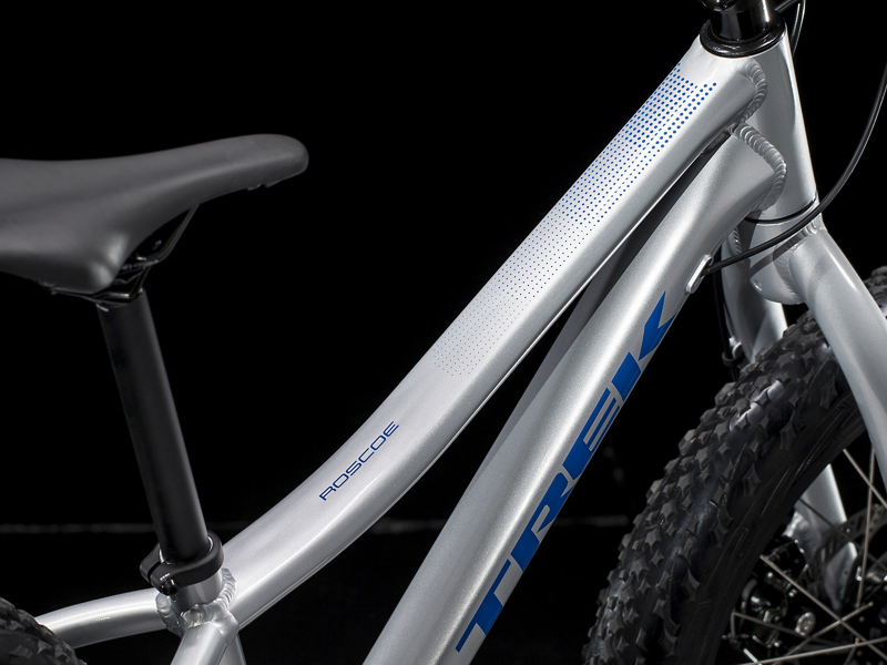 Trek Roscoe 20 Kids Mountain Bike Quicksilver-3