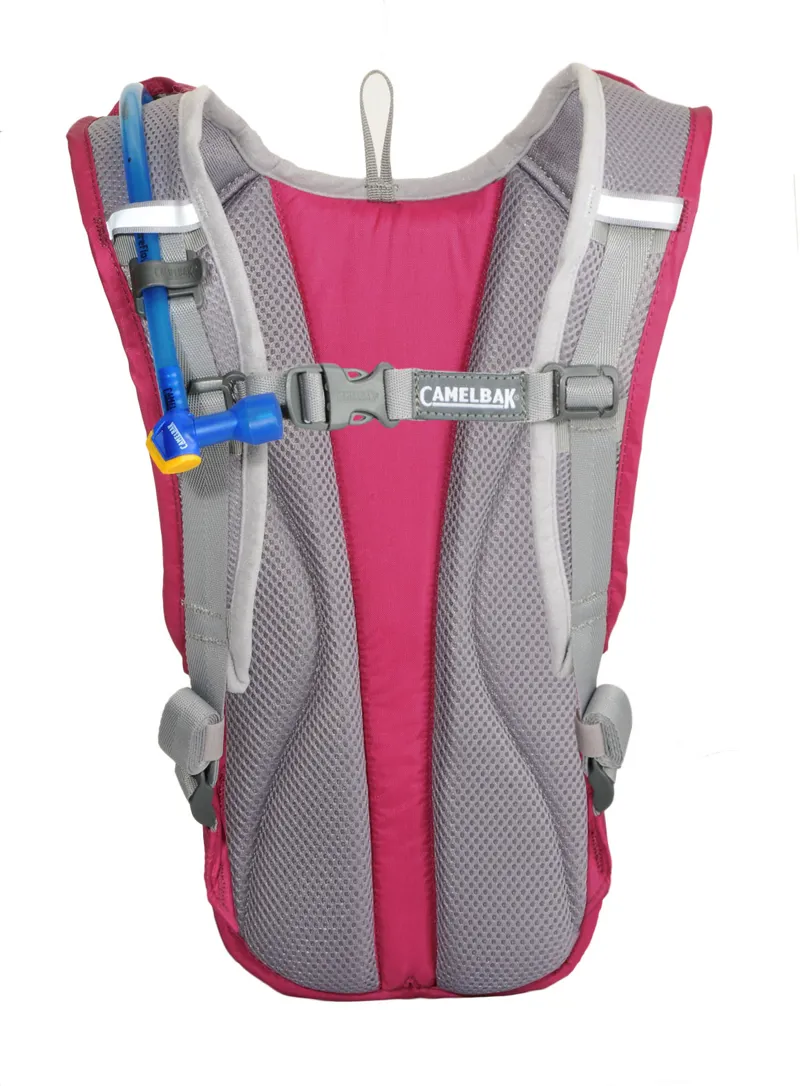 Pink camelbak hydration pack best sale