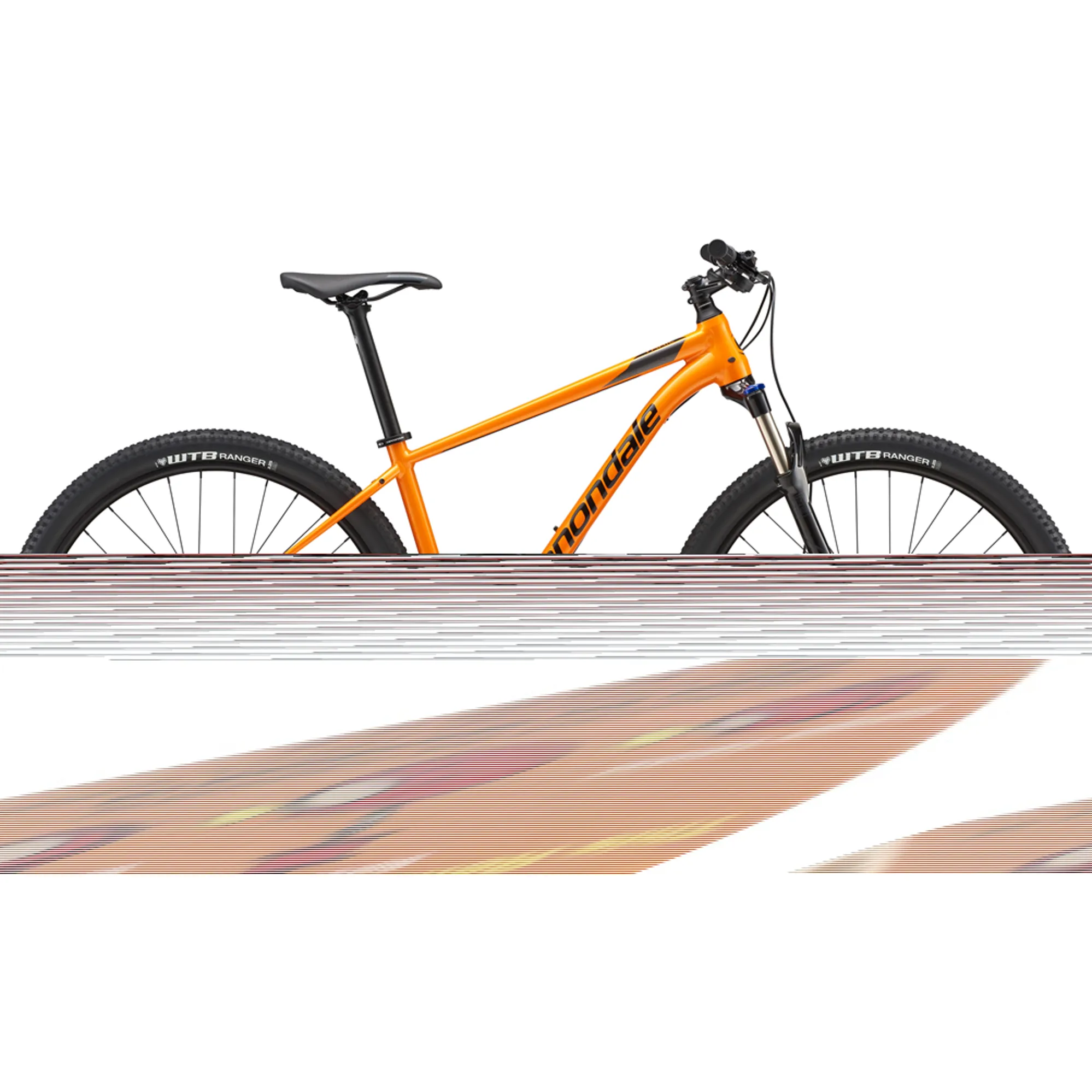 Trail 3 cannondale 2019 hotsell