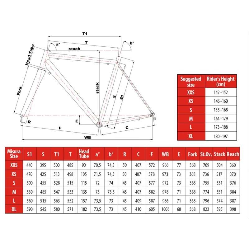 Cinelli experience 2019 review online