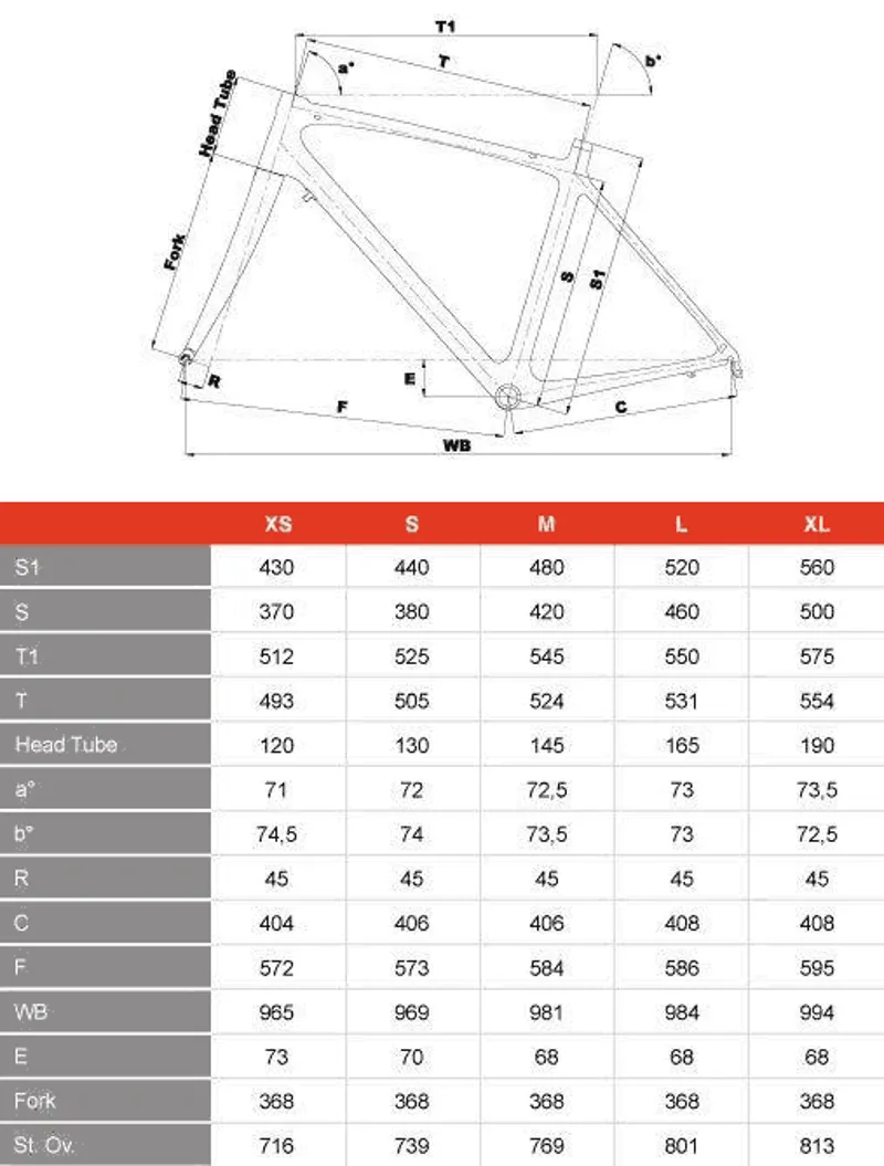 Cinelli Saetta Radical Plus Athena Carbon Road Bike-5