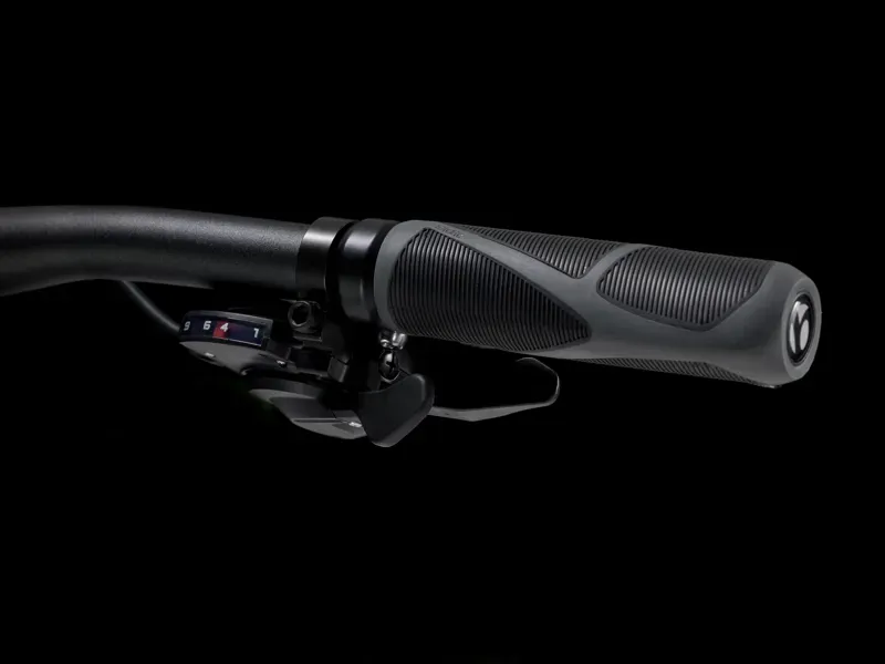 Trek Dual Sport 2 Gen 5 Keswick-3