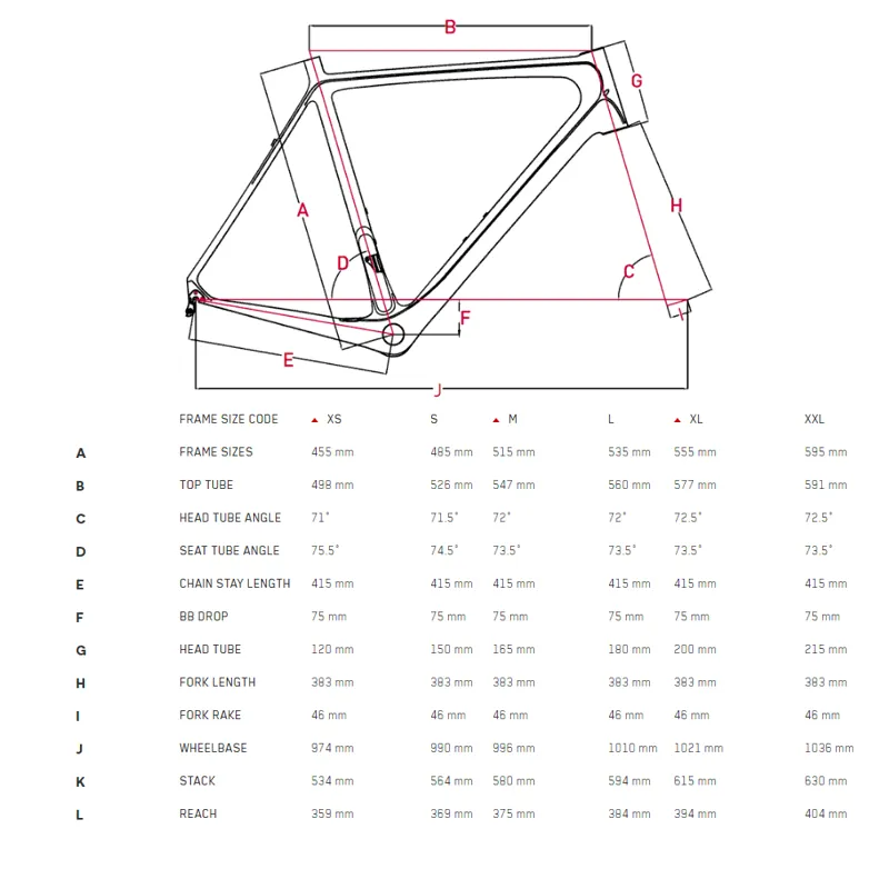 Focus paralane size guide Clearance