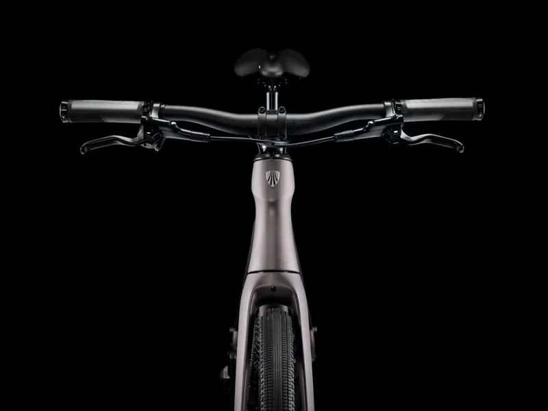 Trek FX Sport 6 Bronze Age/Smoke-3