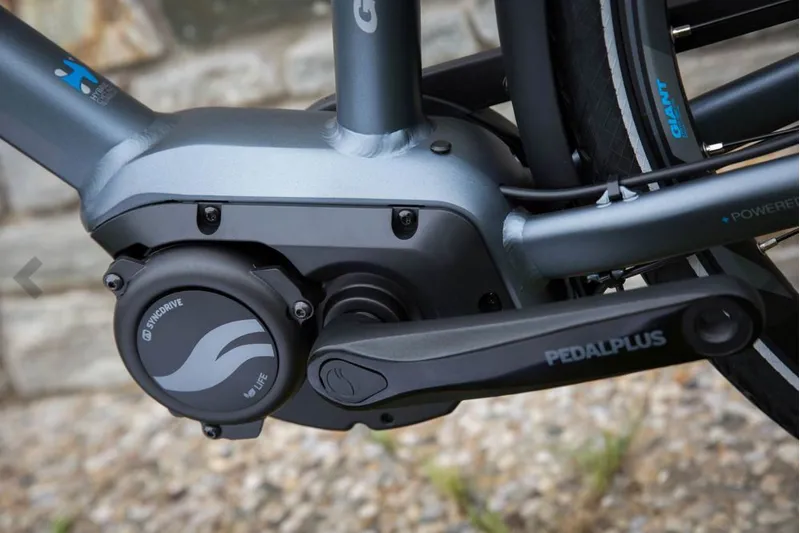 Giant entour outlet e 2 disc