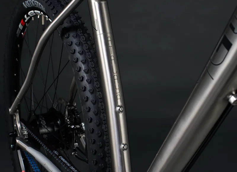 J. Guillem Atalaya Rohloff XT Titanium Mountain Bike-7