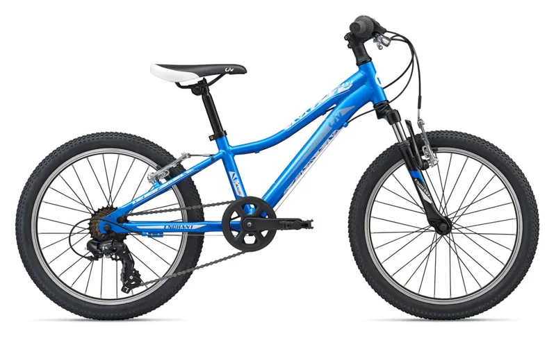 girls 20 inch bike blue