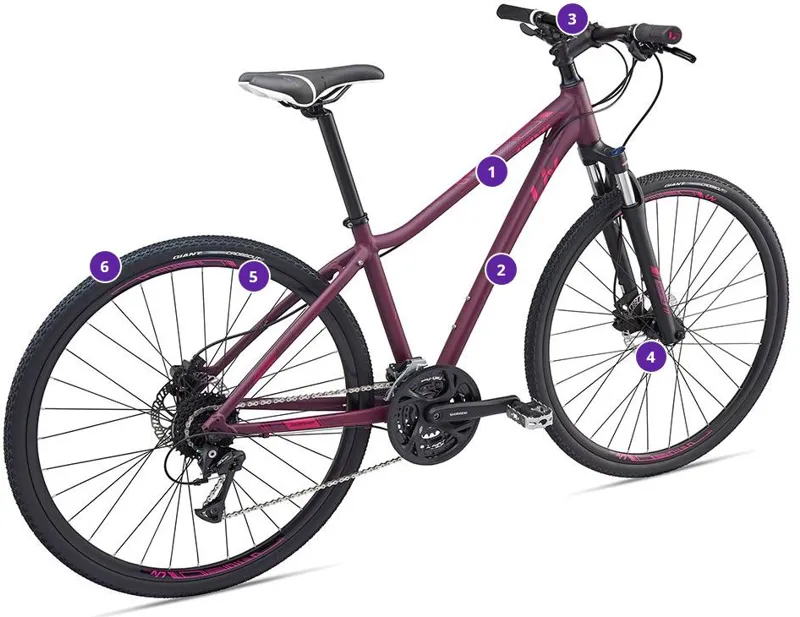 giant rove 3 2019