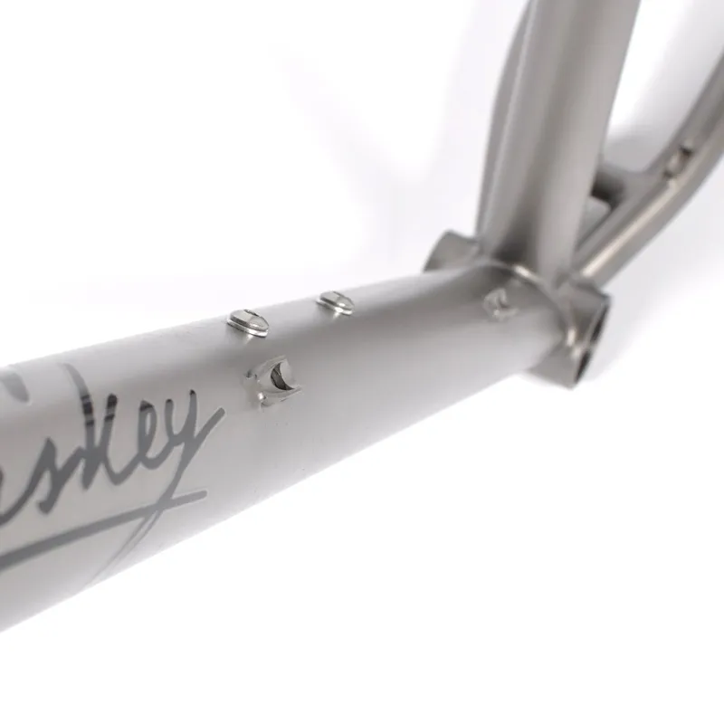 Lynskey Backroad Titanium Frame - Satin-7