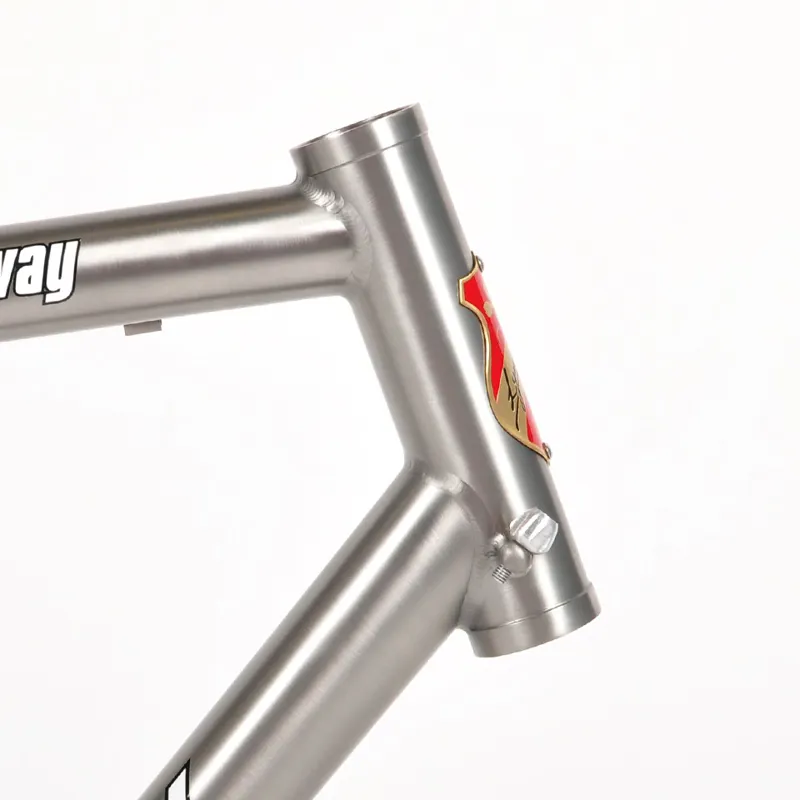 Lynskey Breakaway Titanium Road Frame Silver Series with FREE Fork and  Headset