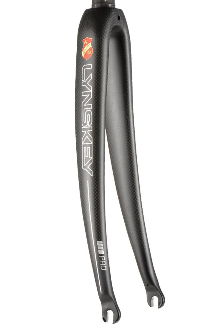 carbon fork