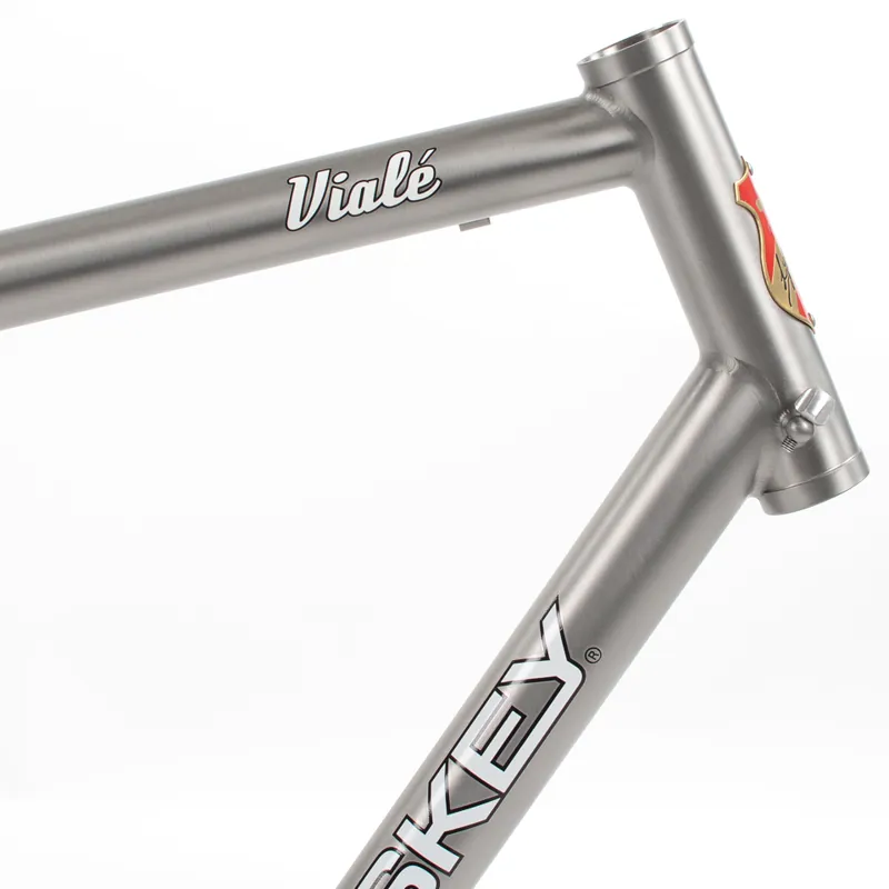 lynskey viale titanium frame
