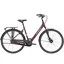 Trek District 2 Equipped Lowstep 2022 Hybrid Bike Mulberry