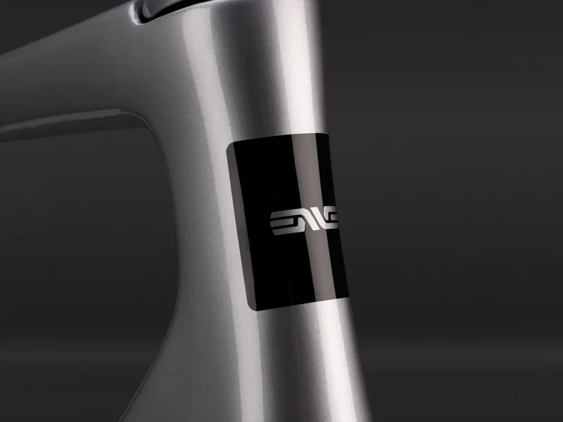 Enve Fray Frameset GT Silver-3