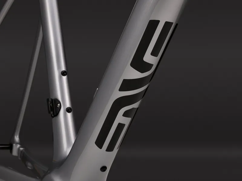 Enve Fray Frameset GT Silver-4
