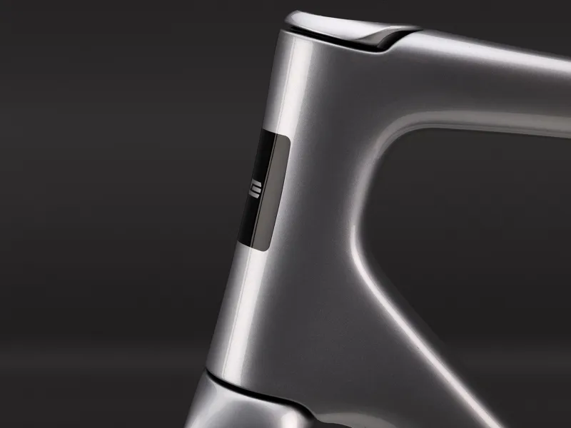 Enve Fray Frameset GT Silver-6