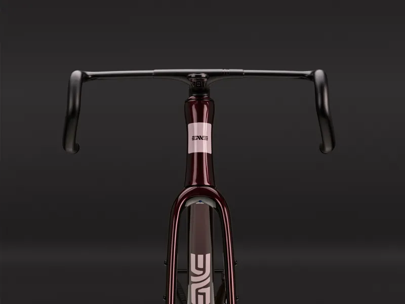 Enve Mog Frameset Hollyhock Purple-3