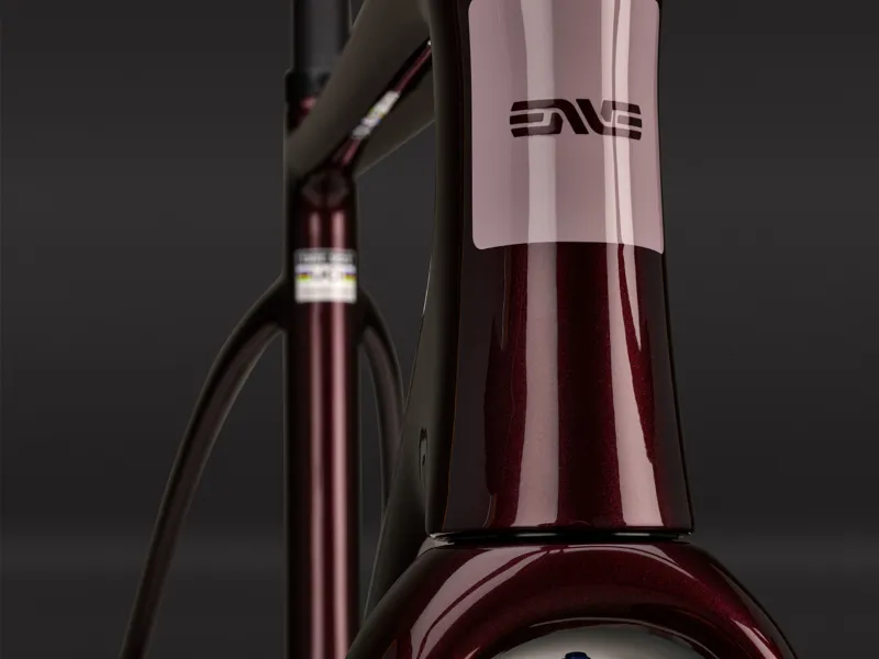 Enve Mog Frameset Hollyhock Purple-4
