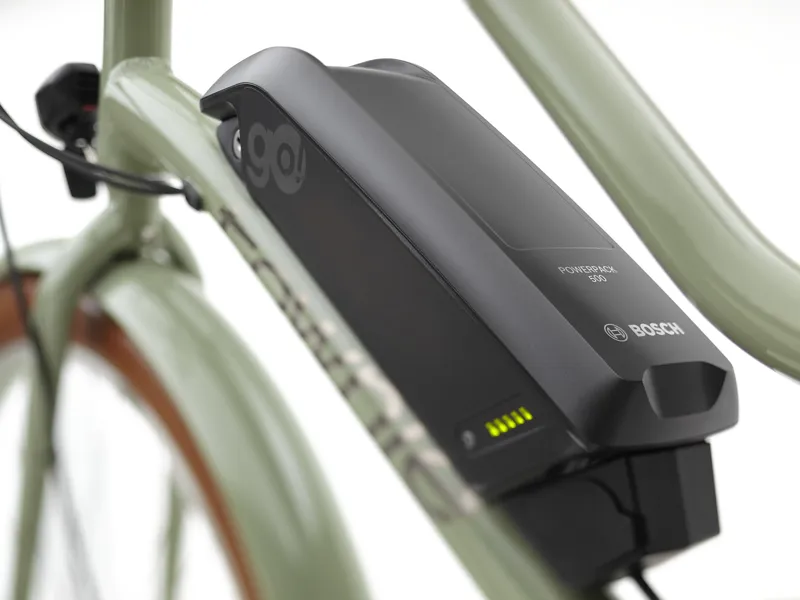 Electra Townie Go 5i Step Thru EU 26 Green Tea 26 wheel-3