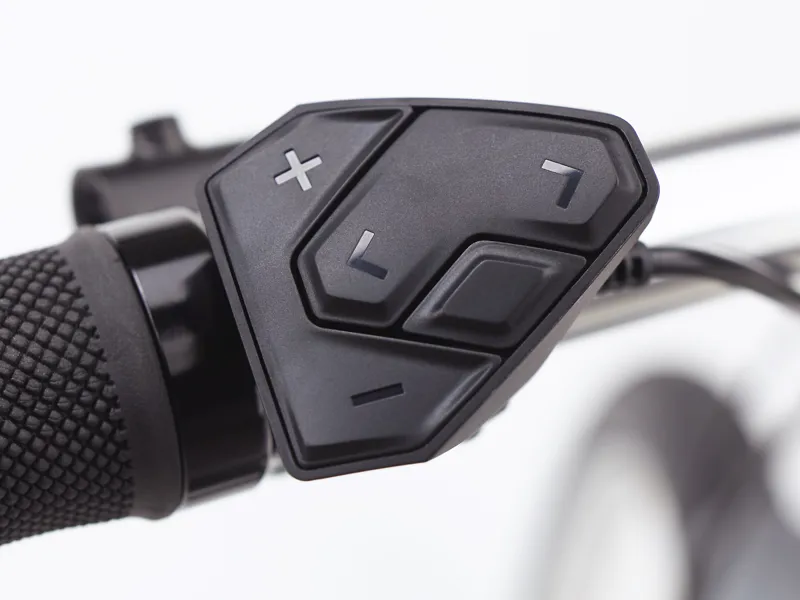 Electra Townie Path Go 10D Step Thru Electric Bike Holographic-9