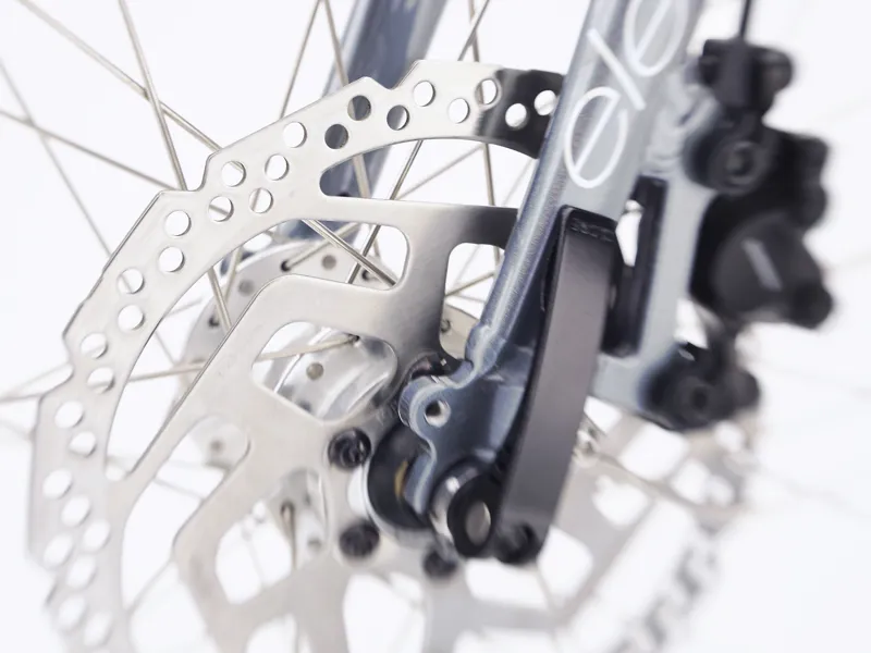 Electra Townie Path Go 10D Step Thru Electric Bike Holographic-4