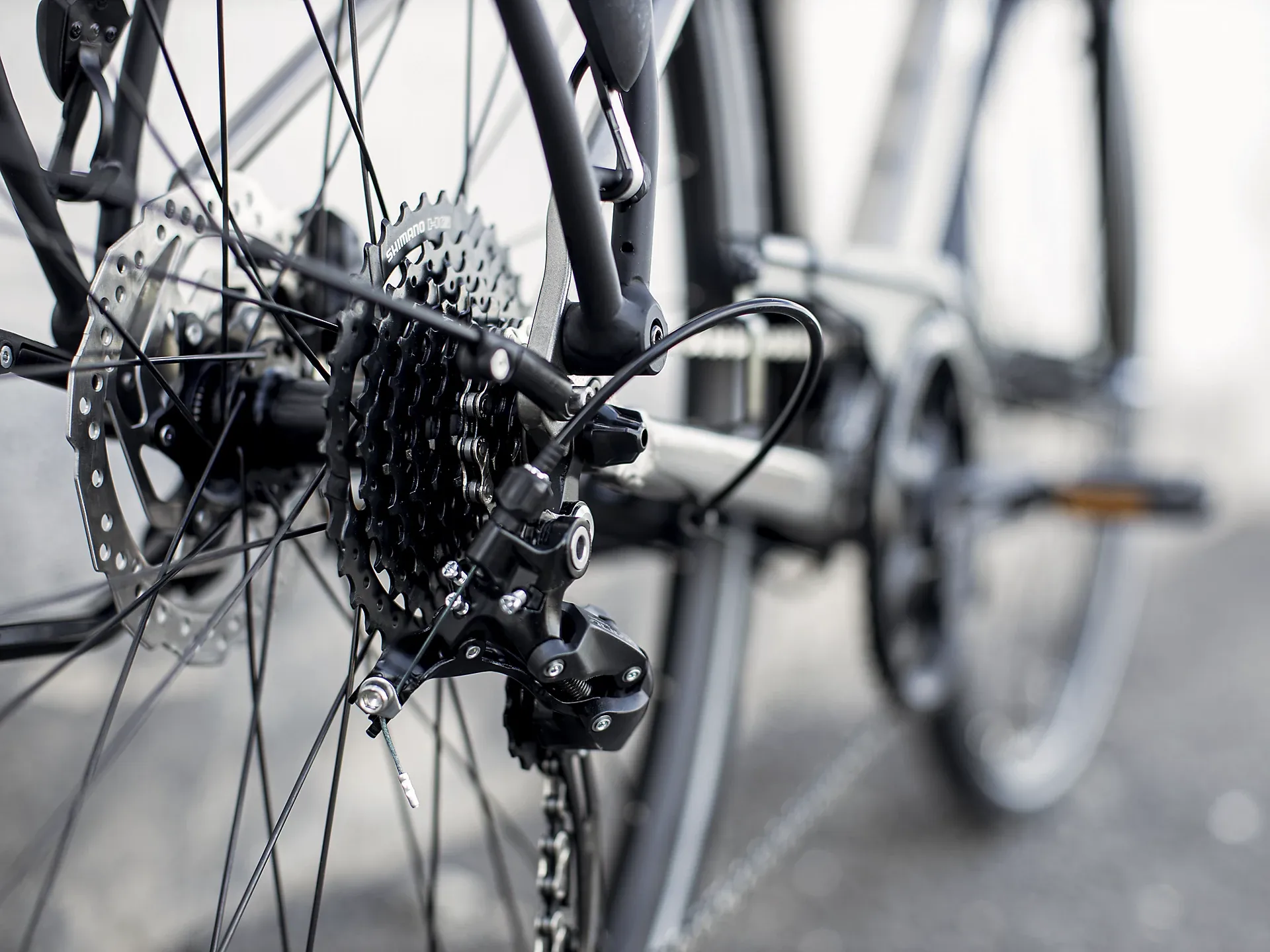 Trek verve 3 hybrid discount