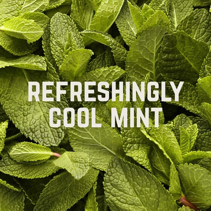 Veloforte Fresco Energy Chews - Lemon and Cool Mint - Vegan Friendly-3