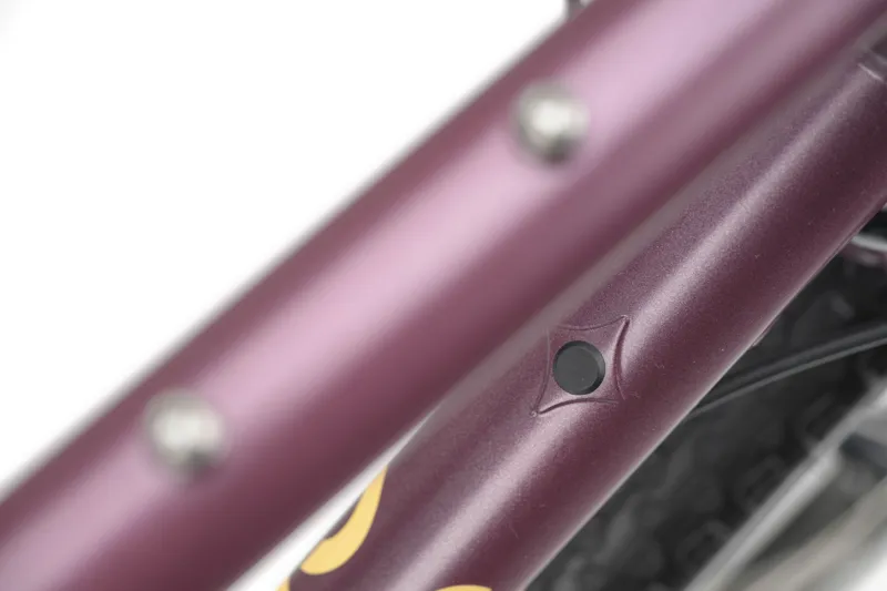 Genesis Vagabond 10 Bohemian Raspberry-8