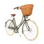 Pashley Britannia 5 Speed Custom Ash Green