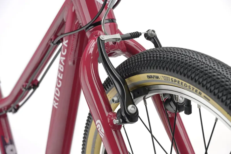 Ridgeback Dimension 20 Perfectly Plum one size-3