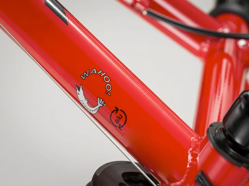 Trek Wahoo 20 inch Wheel 2021 Kids Bike Red-4