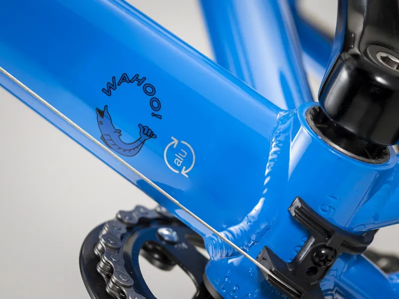 Trek Wahoo 26 inch Wheel 2022 Kids Bike Blue-4