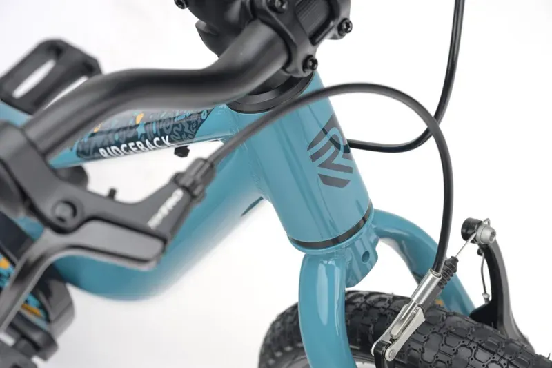 Ridgeback MX14 Kid's Bike in Turbo Teal-5