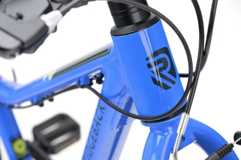 Ridgeback MX20 Kids Bike in Big Blue-2