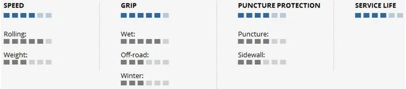 Schwalbe Big Apple 26 x 2.35 Performance Wired RaceGuard Endurance-1