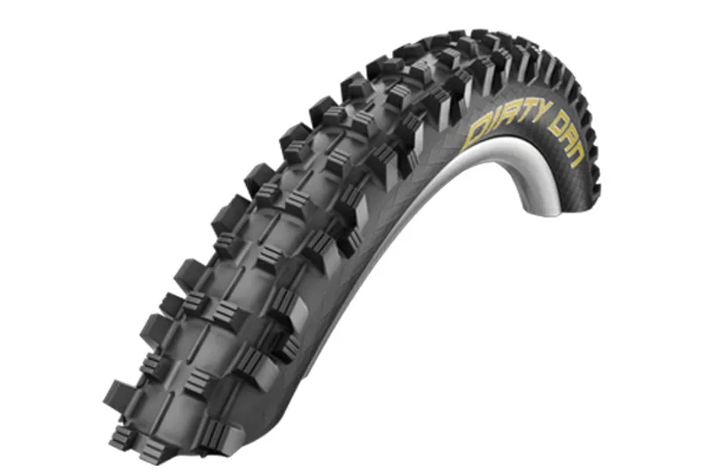 楽天市場】SCHWALBE DIRTYDAN シュワルベ ダーティーダン DH MTB