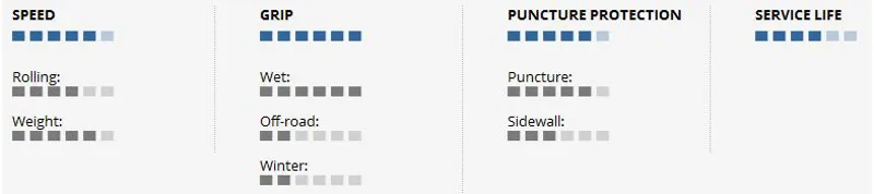 Schwalbe Marathon Supreme 700x32C Evo Folding HD Speed Guard RoadStar-1