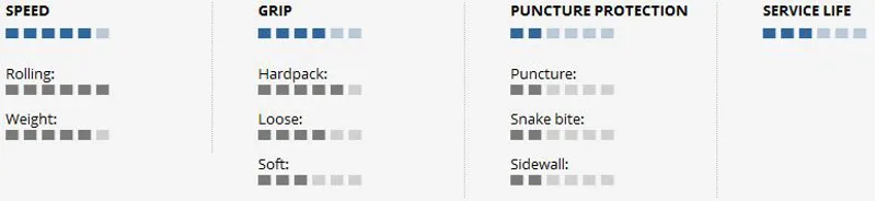 Schwalbe Racing Ralph 28 x 1.30 700 x 33C Evo Folding PaceStar Black--1