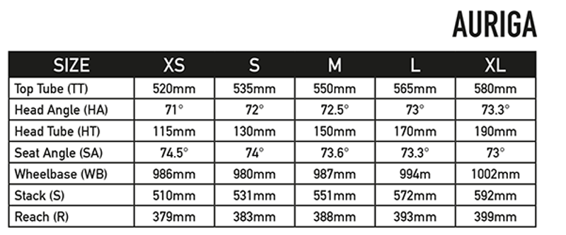 Tifosi Auriga Chorus Carbon Road Bike-4