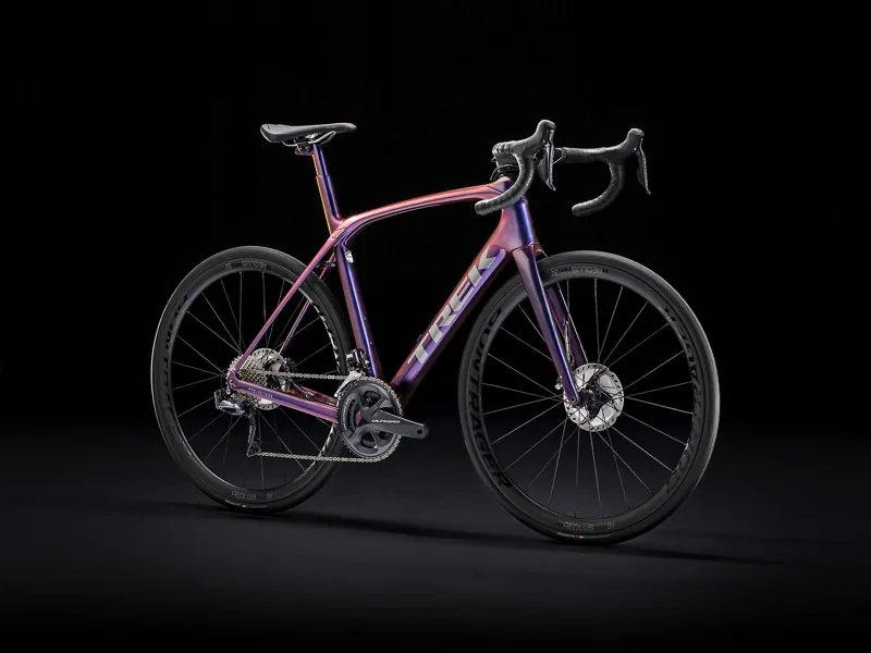 trek domane purple