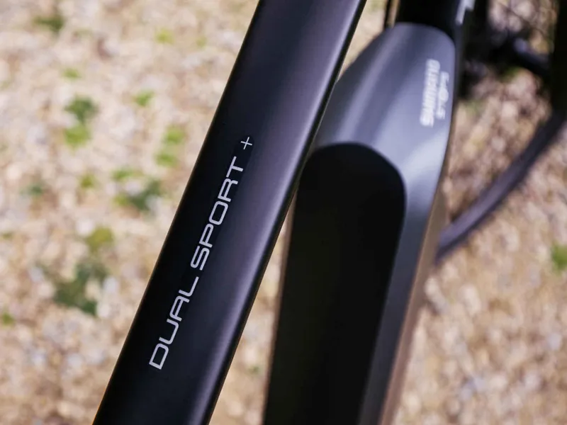 trek dual sport electric bike