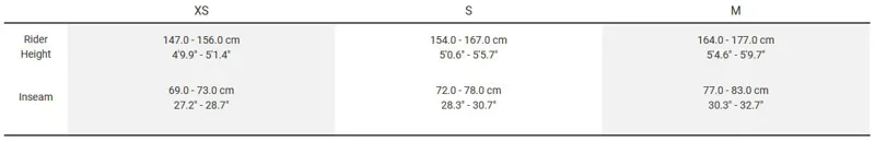 Trek Dual Sport + WSD 2020 Womens Hybrid E-bike Grey-10