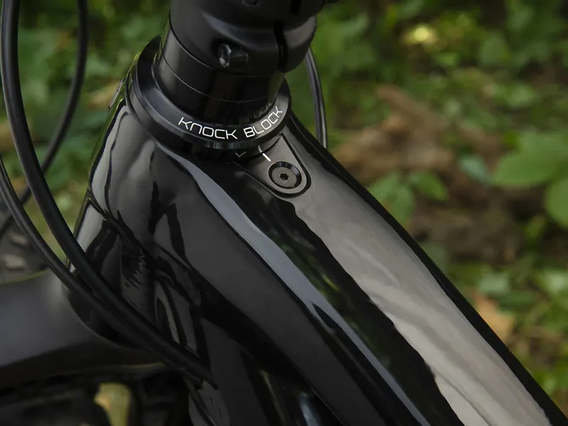 Trek Fuel EX 7 NX 2020 All Mountain Bike Trek Black/Purple Lotus-8