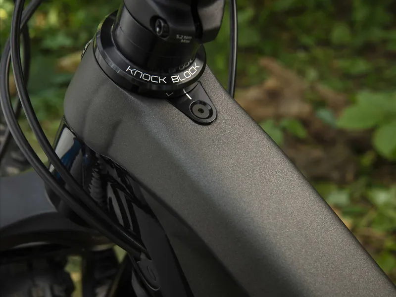 Trek Fuel EX 8 GX 2020 Mountian Bike Matte Dnister/Gloss Trek Black-8