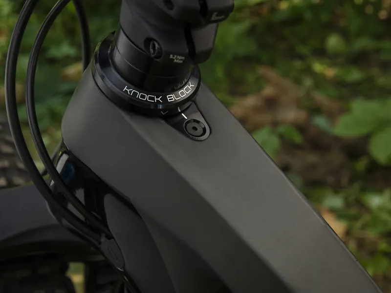 Trek Fuel EX 9.7 NXGX 2020 All Mountain Bike Matte Carbon/Gloss Black-10