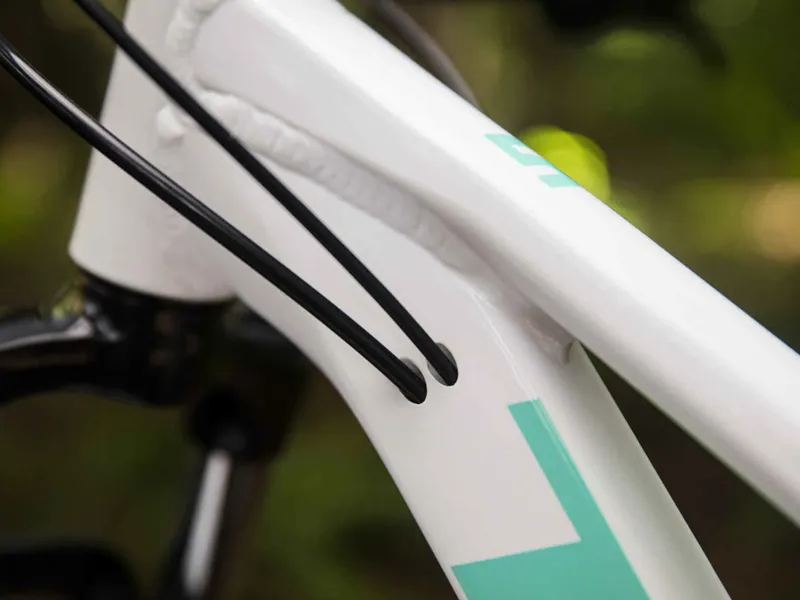 Trek marlin women's 2019 online