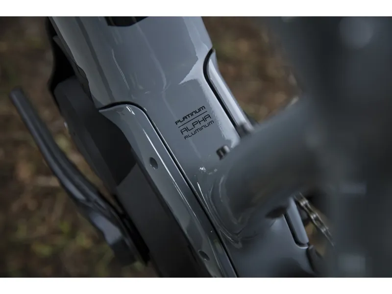 Trek Powerfly 7 2019 EU Mens Hardtail E-Bike Grey-7